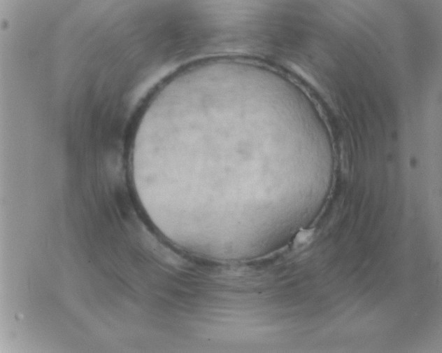 X0000075891452200610062041