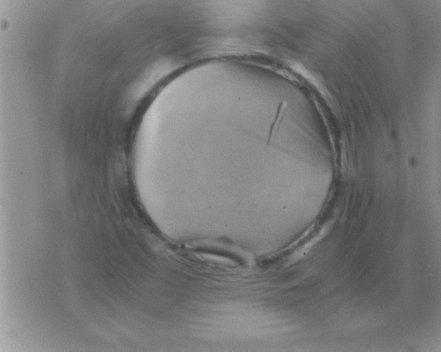 X0000075891453200610062041