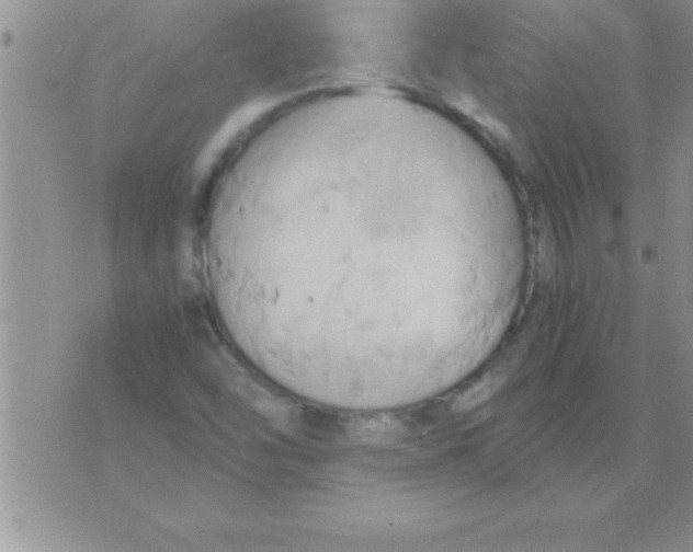 X0000075891454200610062041