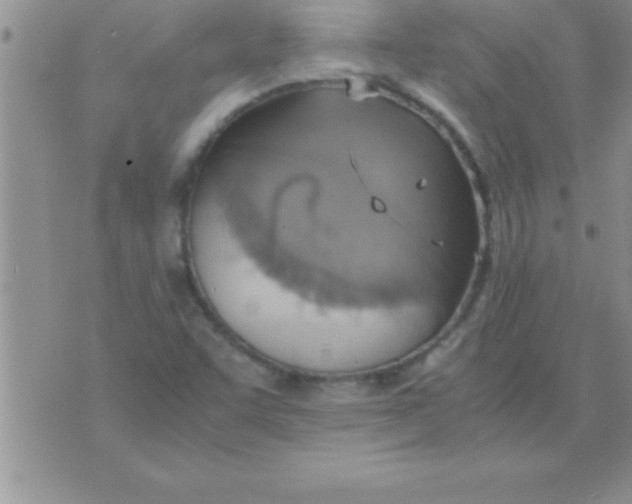 X0000075891455200610062041