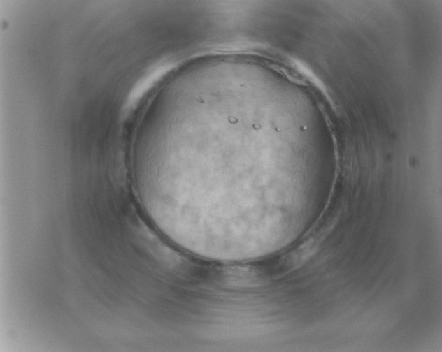 X0000075891456200610062041