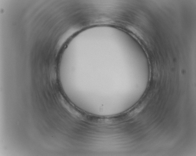 X0000075891458200610062041