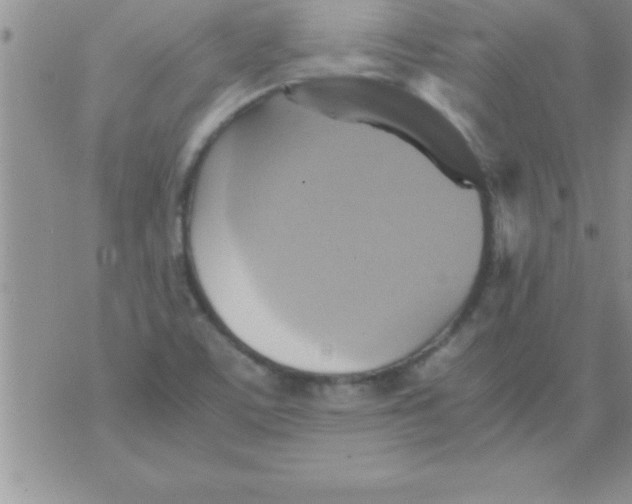 X0000075891459200610062041