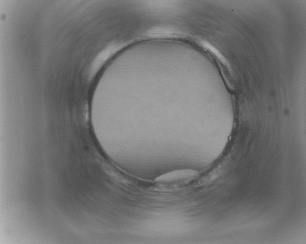 X0000075891461200610062041