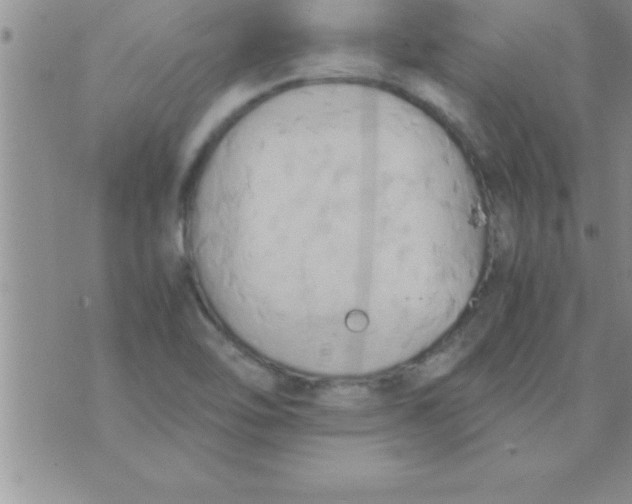 X0000075891462200610062041