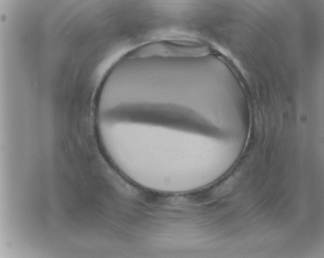 X0000075891463200610062041