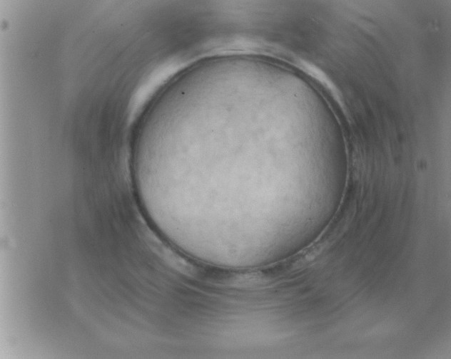 X0000075891464200610062041