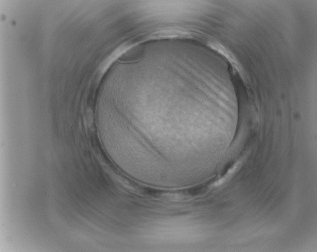 X0000075891465200610062040