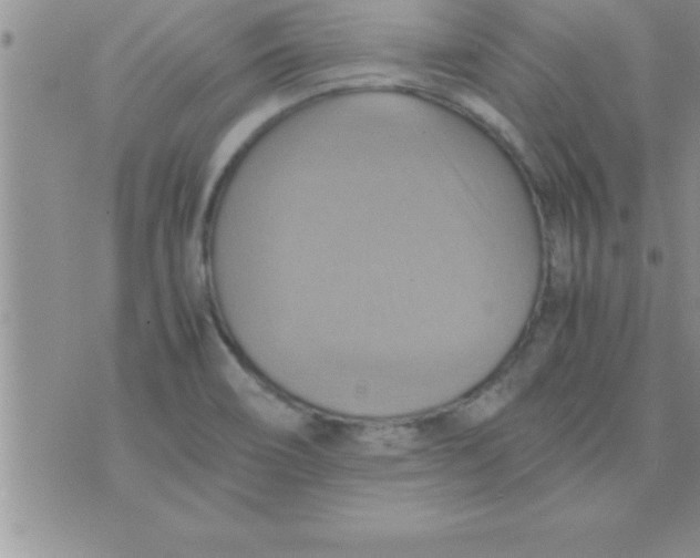 X0000075891466200610062040