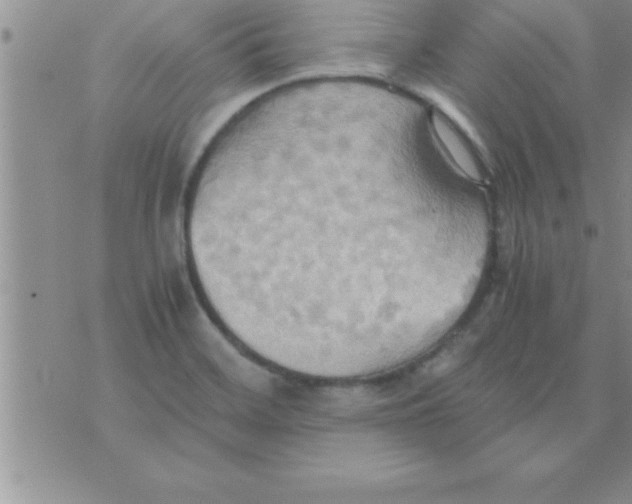 X0000075891468200610062040