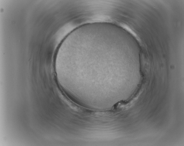 X0000075891469200610062040