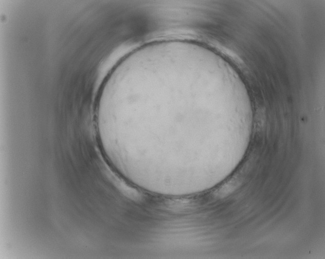 X0000075891470200610062040