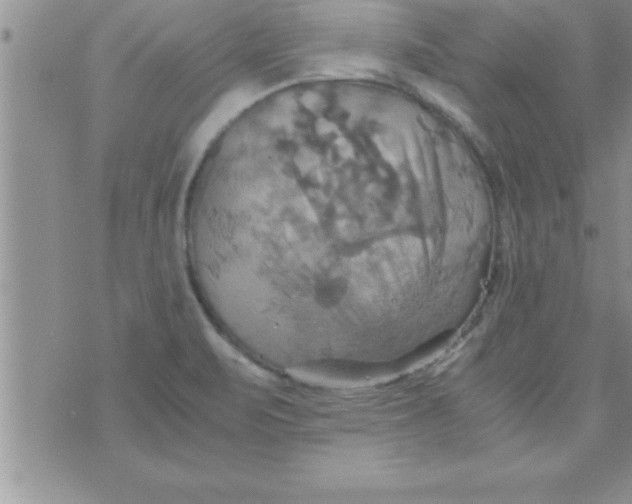 X0000075891471200610062040