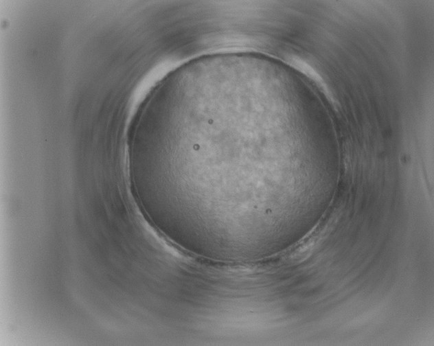 X0000075891472200610062040