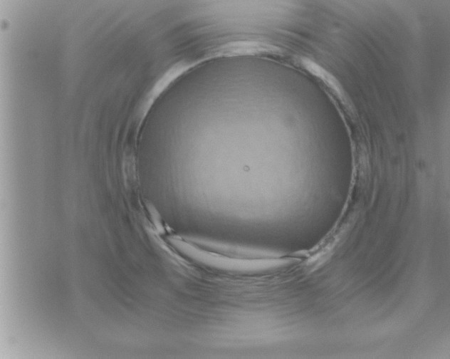 X0000075891473200610062040