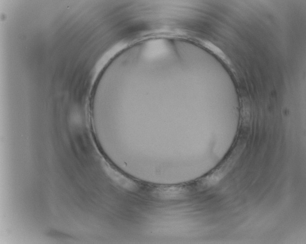 X0000075891474200610062040