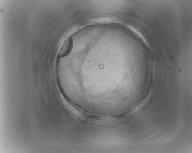 X0000075891475200610062040