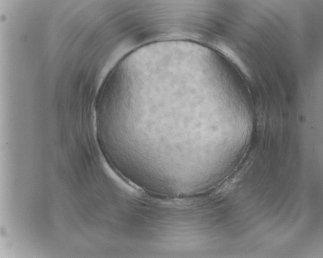 X0000075891476200610062040