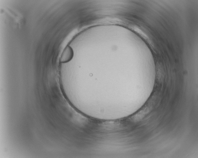 X0000075891478200610062040