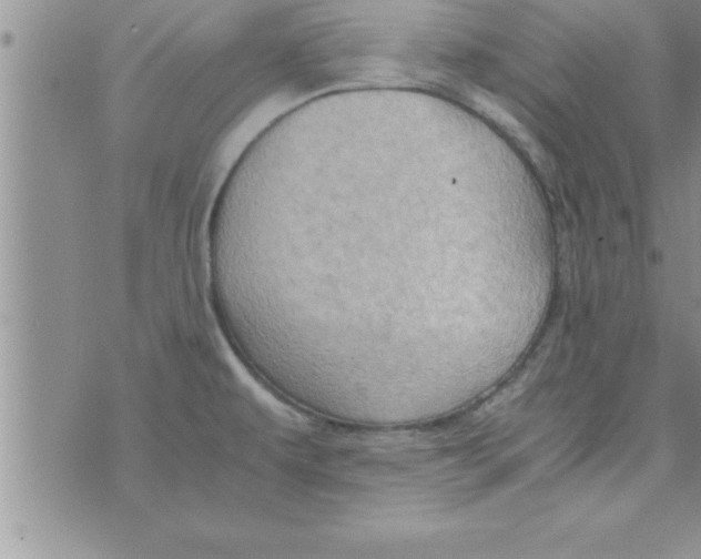 X0000075891479200610062040