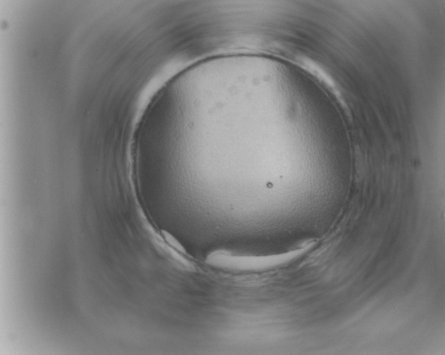 X0000075891480200610062040