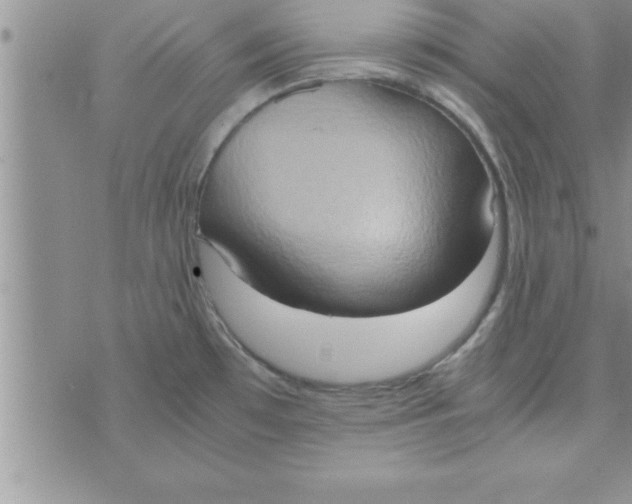 X0000075891481200610062040