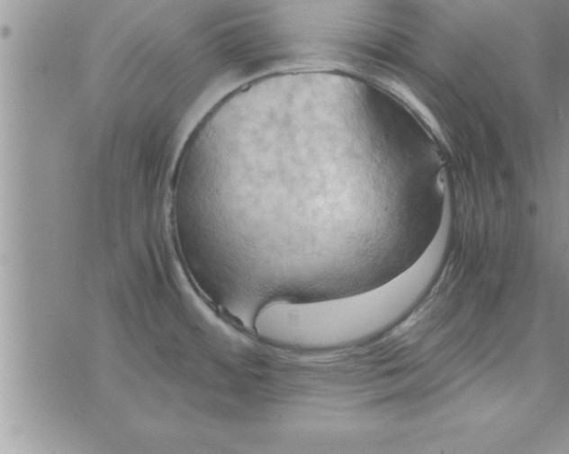 X0000075891484200610062040