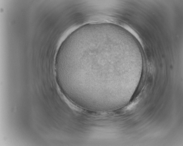 X0000075891485200610062040