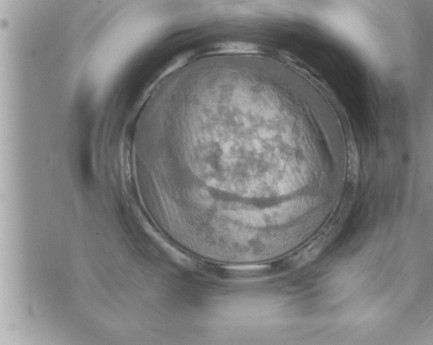 X0000075891487200610062040