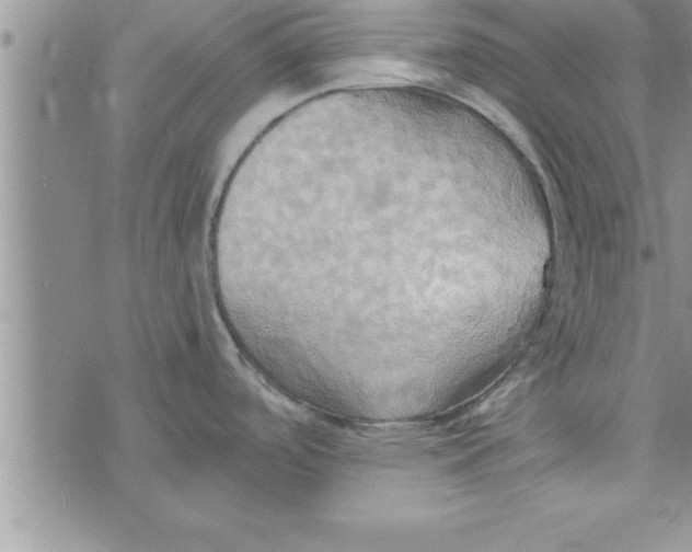 X0000075891488200610062040