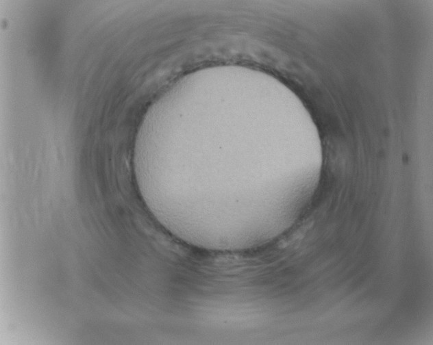 X0000075891489200610062039