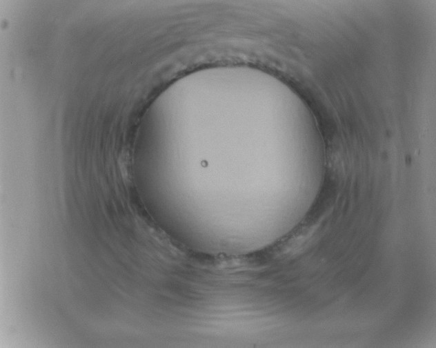 X0000075891490200610062039