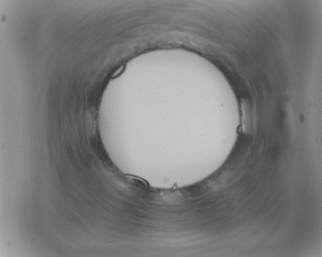 X0000075891491200610062039