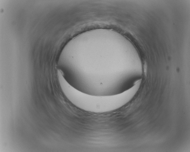 X0000075891492200610062039