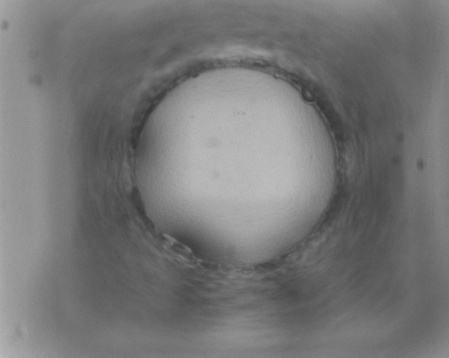 X0000075891493200610062039