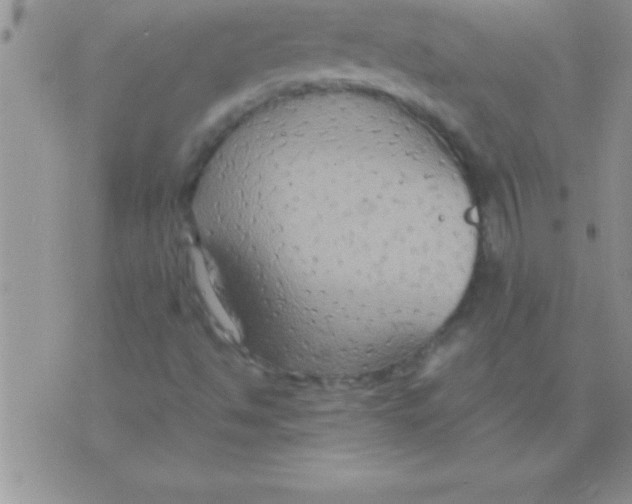 X0000075891494200610062039