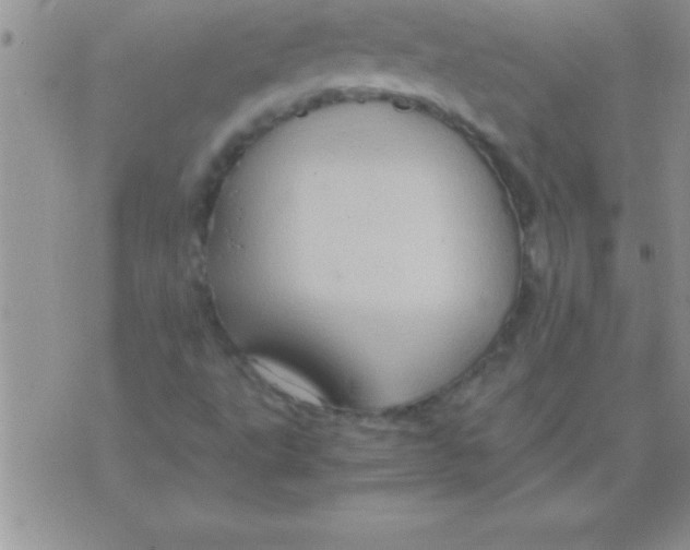 X0000075891495200610062039