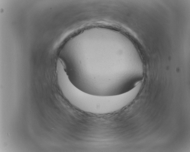 X0000075891496200610062039