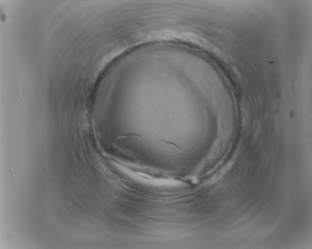 X0000075891497200610062039