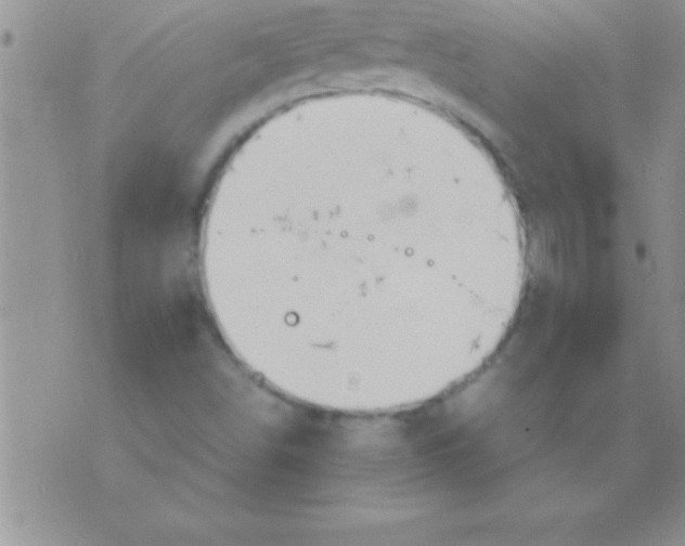 X0000075891498200610062040