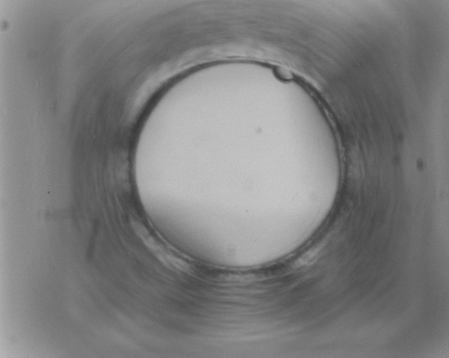 X0000075891499200610062040