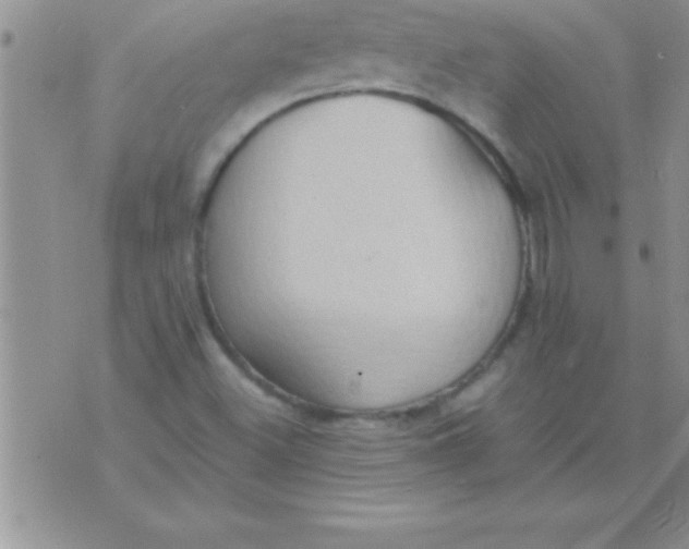 X0000075891500200610062040