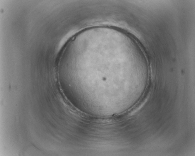 X0000075891501200610062040