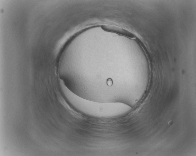 X0000075891503200610062040