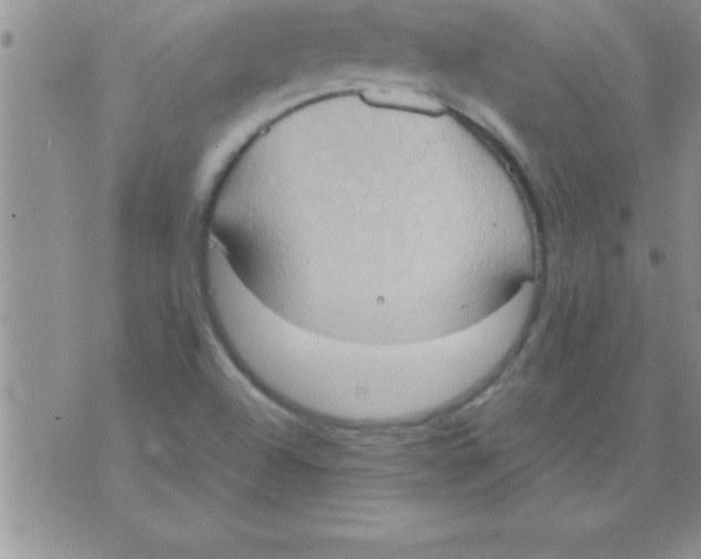 X0000075891504200610062040