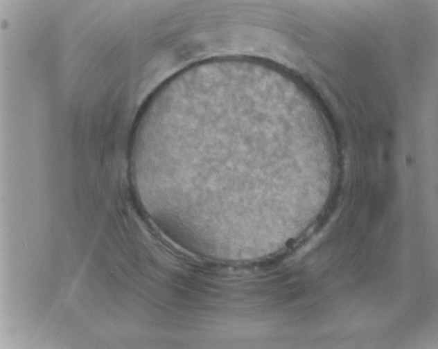 X0000075891505200610062040