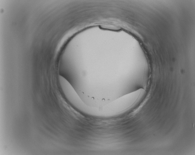 X0000075891506200610062040