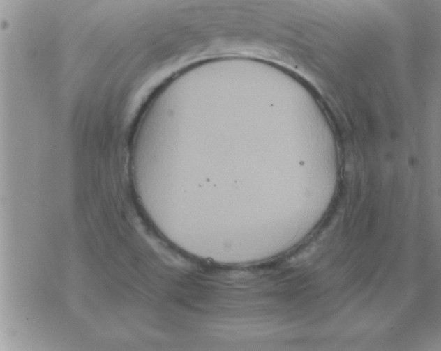 X0000075891507200610062040