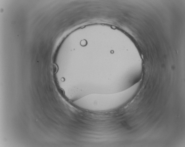 X0000075891508200610062040