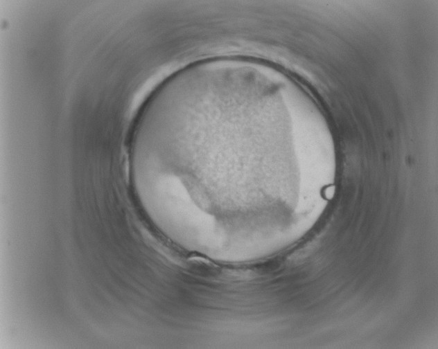 X0000075891509200610062040